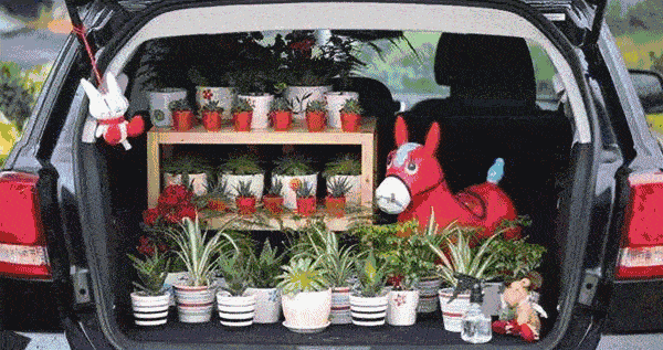 逛逛网红车尾箱集市吃瓜,吃瓜群众的美食盛宴  第1张